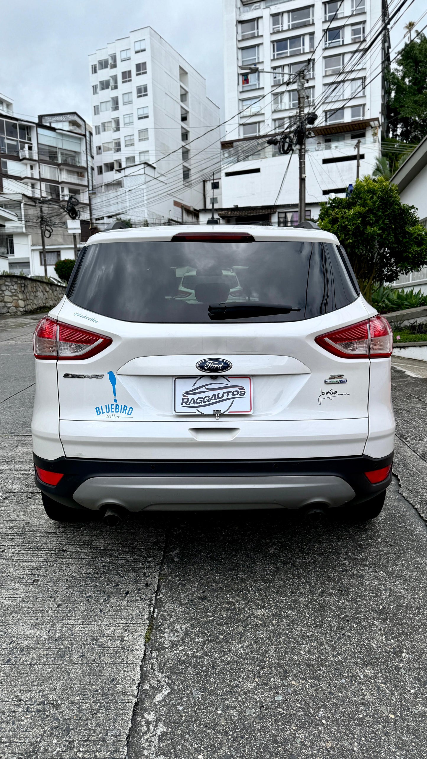 FORD ESCAPE SE 2.0 TURBO ECOBOOST GASOLINA 4x4 2015 AUTOMÁTICA
