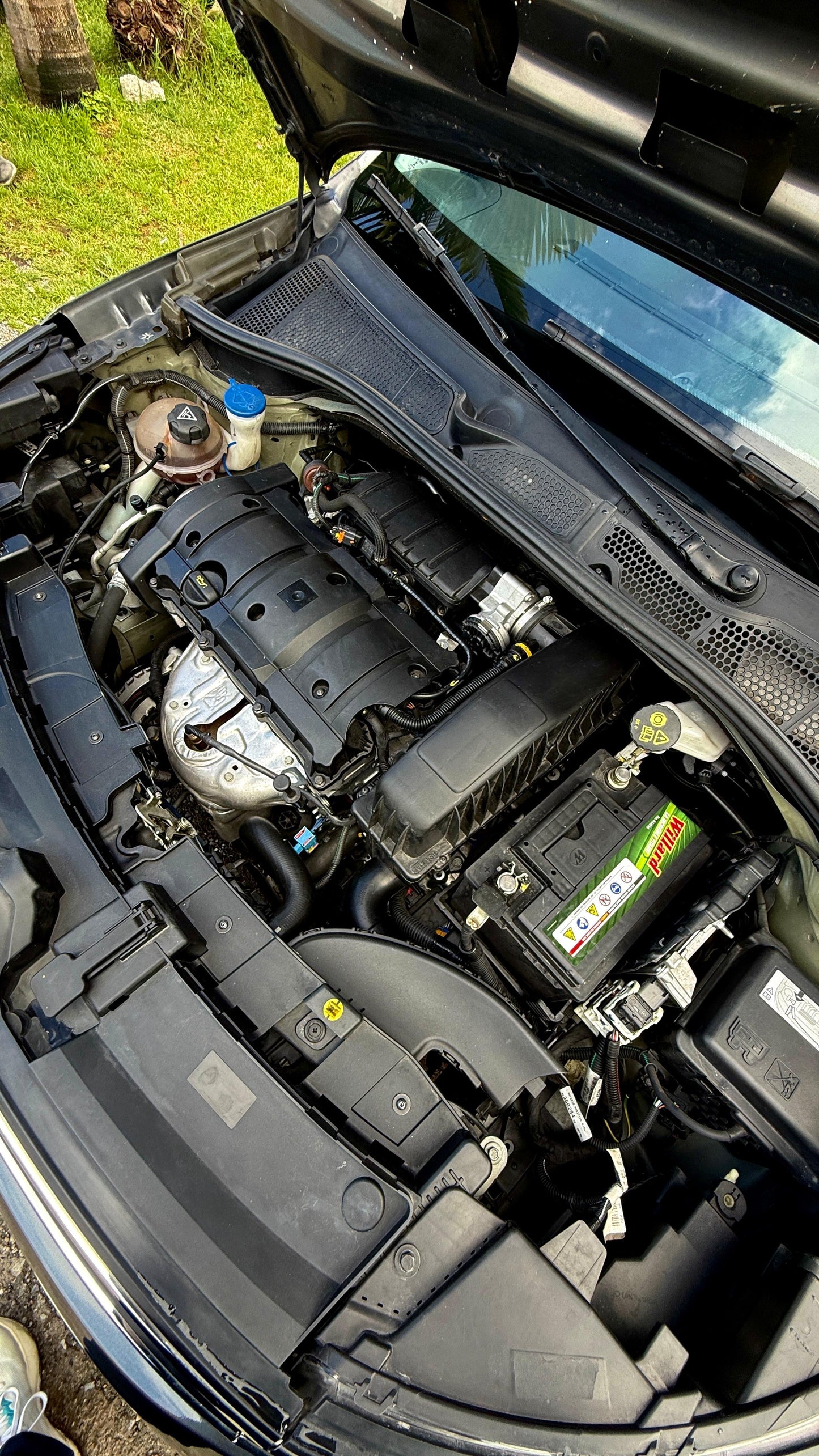 CITROEN C4 CACTUS FEEL 1.6 2023 AUTOMÁTICA