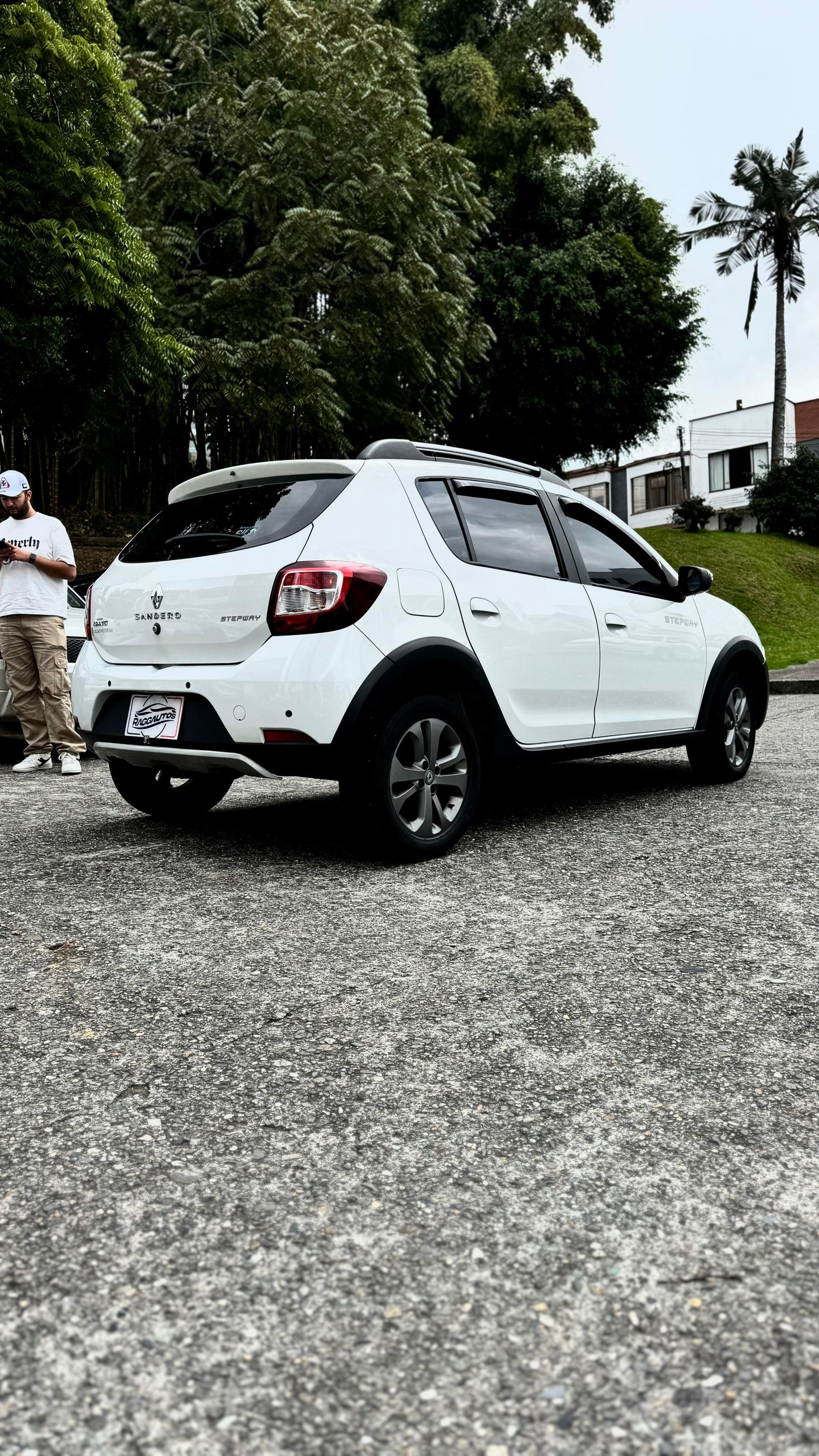 RENAULT SANDERO STEPWAY FULL 2019 MECÁNICO