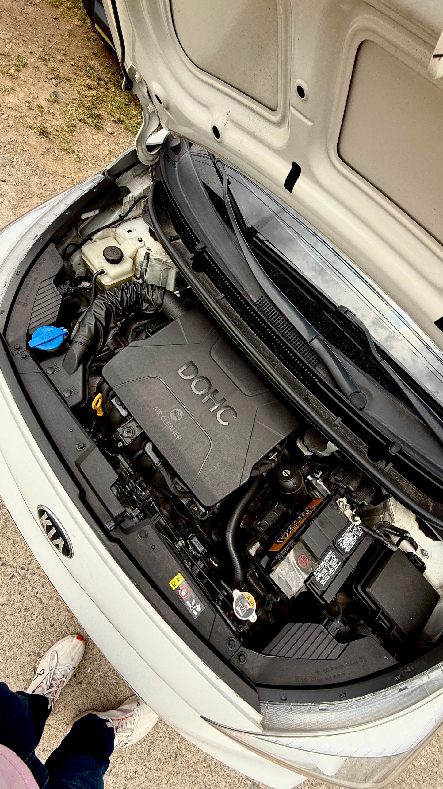KIA PICANTO X LINE 1.250 MECÁNICO MODELO 2020