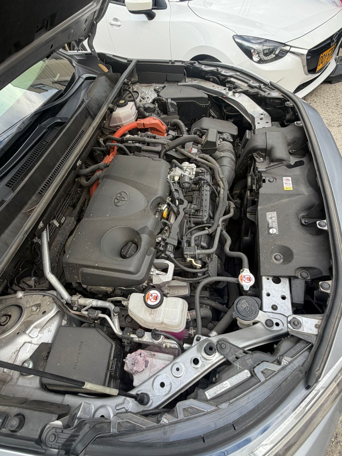 TOYOTA RAV4 XLE 2022 HIBRIDA AUTOMÁTICA